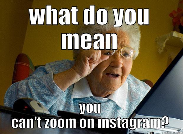 WHAT DO YOU MEAN YOU CAN'T ZOOM ON INSTAGRAM? Grandma finds the Internet