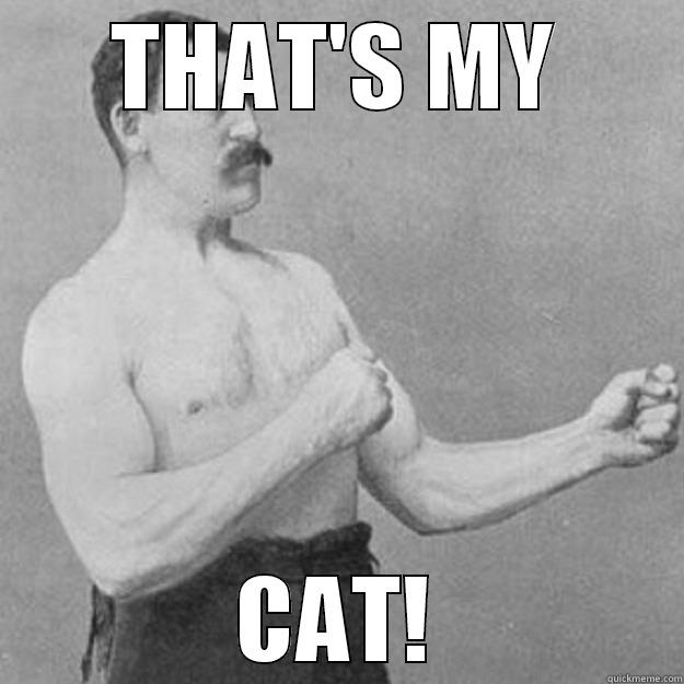 THAT'S MY CAT! overly manly man