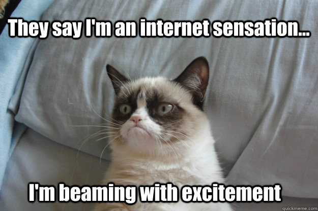 They say I'm an internet sensation... I'm beaming with excitement - They say I'm an internet sensation... I'm beaming with excitement  tard grumpy cat