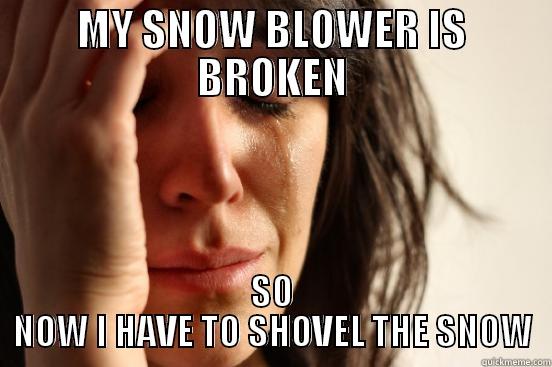 MY SNOW BLOWER IS BROKEN SO NOW I HAVE TO SHOVEL THE SNOW First World Problems