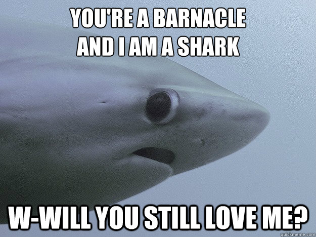 You're a barnacle 
and I am a shark W-Will you still love me?  Shy Shark