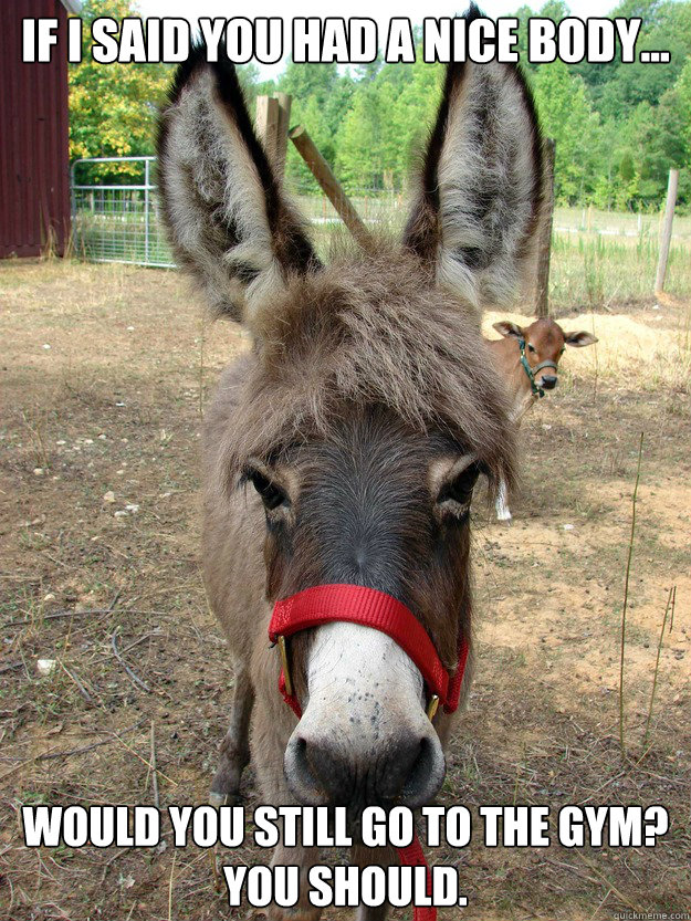 if i said you had a nice body... would you still go to the gym?  
you should.  Bad Pickup Line Donkey