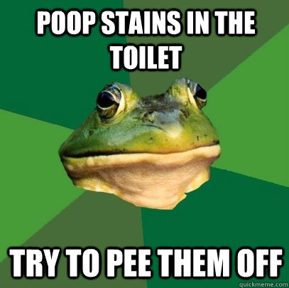 Poop stains in the toilet Try to pee them off  Foul Bachelor Frog