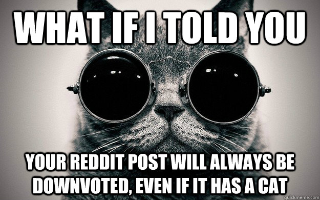 What if I told you Your reddit post will always be downvoted, even if it has a cat  Morpheus Cat Facts