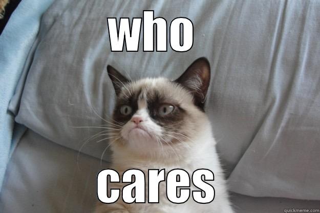 WHO  CARES Grumpy Cat