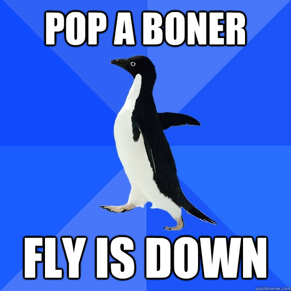 POP A BONER FLY IS DOWN  Socially Awkward Penguin