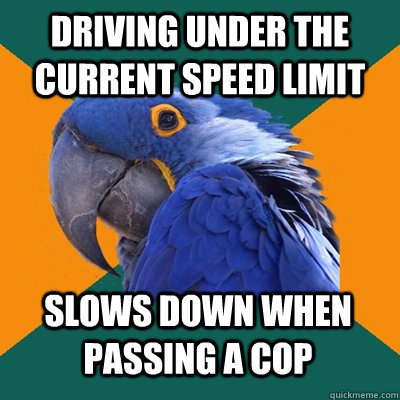 Driving under the current speed limit slows down when passing a cop  Paranoid Parrot