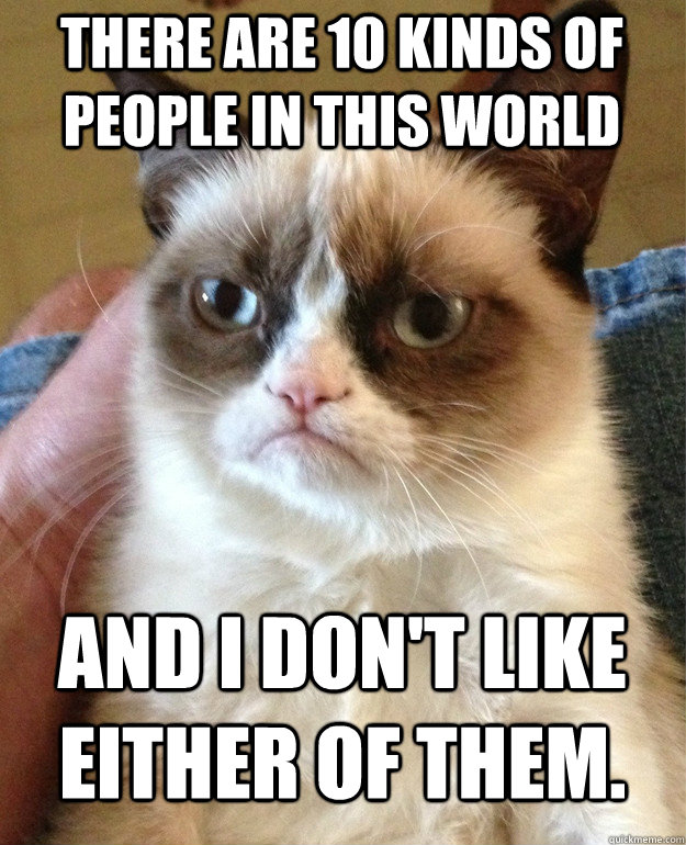 There are 10 kinds of people in this world and I don't like either of them.  Grumpy Cat