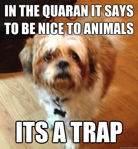 in the quaran it says to be nice to animals its a trap - in the quaran it says to be nice to animals its a trap  Scared of muslims-dog