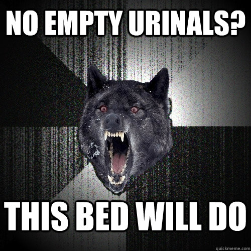 no empty urinals? this bed will do     Insanity Wolf