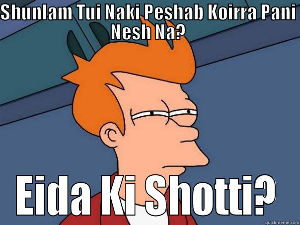SHUNLAM TUI NAKI PESHAB KOIRRA PANI NESH NA? EIDA KI SHOTTI? Futurama Fry