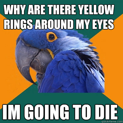 why are there yellow rings around my eyes im going to die   Paranoid Parrot