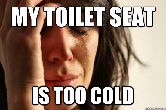 My Toilet Seat IS TOO COLD  First World Problems
