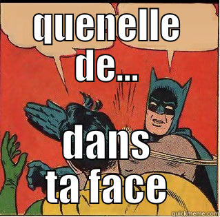 QUENELLE DE... DANS TA FACE Slappin Batman