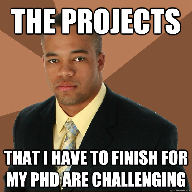 the projects that i have to finish for my PHd are challenging  Successful Black Man