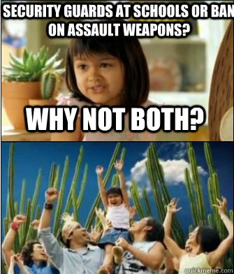 Why not both? Security guards at schools or ban on assault weapons?  Why not both