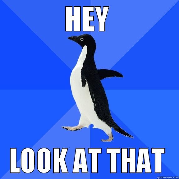 HEY LOOK AT THAT Socially Awkward Penguin