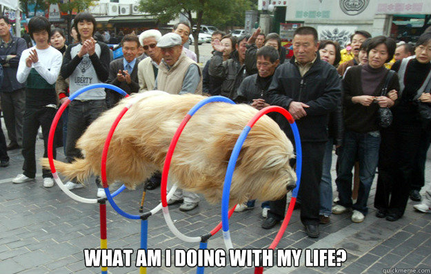  What am I doing with my life?  What am I doing with my life