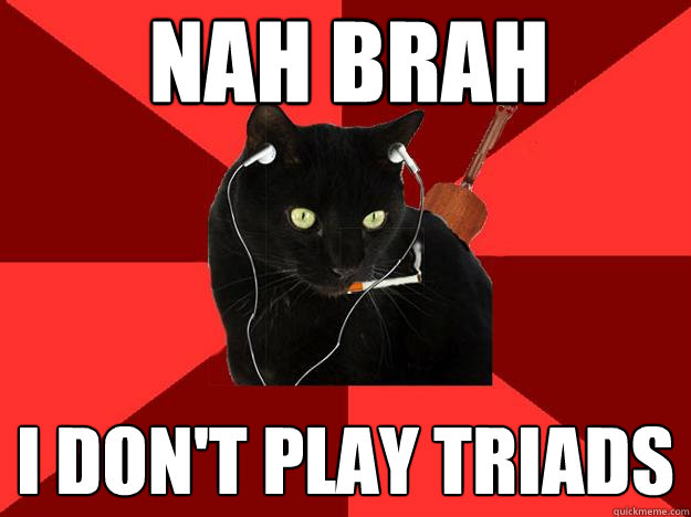 nah Brah i don't play triads  Berklee Cat