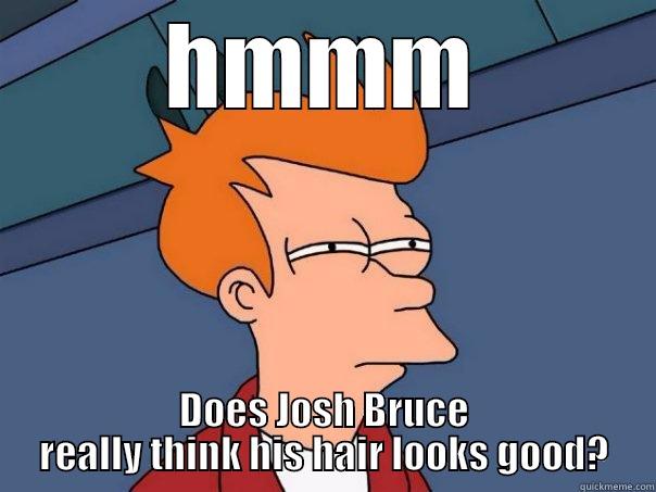 hmmm bruce - HMMM DOES JOSH BRUCE REALLY THINK HIS HAIR LOOKS GOOD? Futurama Fry