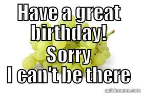 HAVE A GREAT BIRTHDAY! SORRY I CAN'T BE THERE Misc