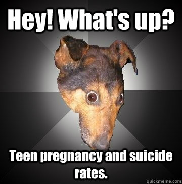 Hey! What's up? Teen pregnancy and suicide rates.  Depression Dog