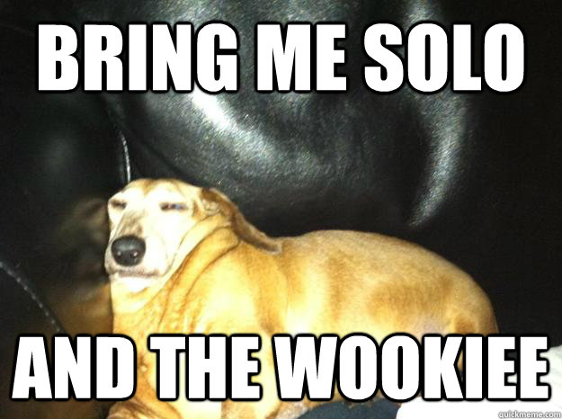bring me solo and the wookiee - bring me solo and the wookiee  Jabba the Mutt