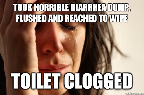 Took horrible diarrhea dump, flushed and reached to wipe Toilet clogged  First World Problems