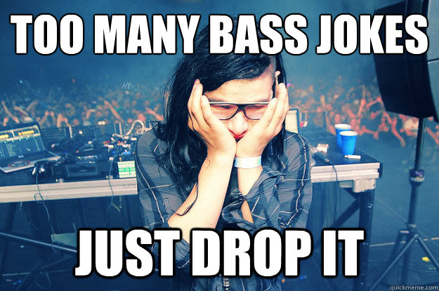 Too many bass jokes Just drop it - Too many bass jokes Just drop it  Sad Skrillex
