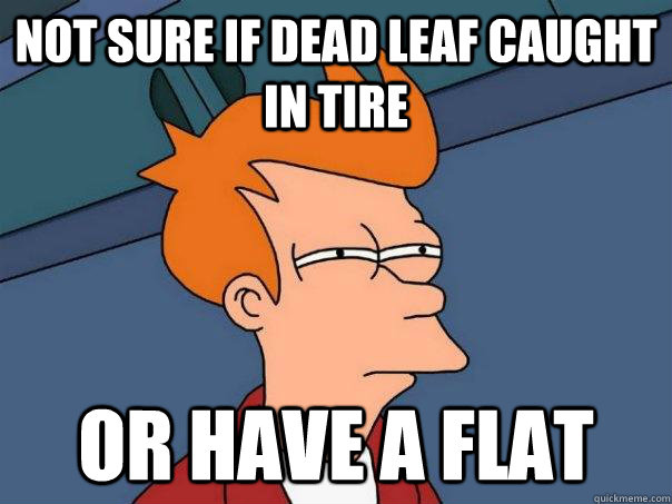 not sure if dead leaf caught in tire Or have a flat  Futurama Fry