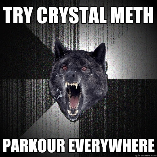 Try Crystal meth Parkour everywhere  Insanity Wolf