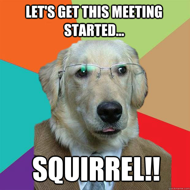let's get this meeting started... squirrel!!  Business Dog