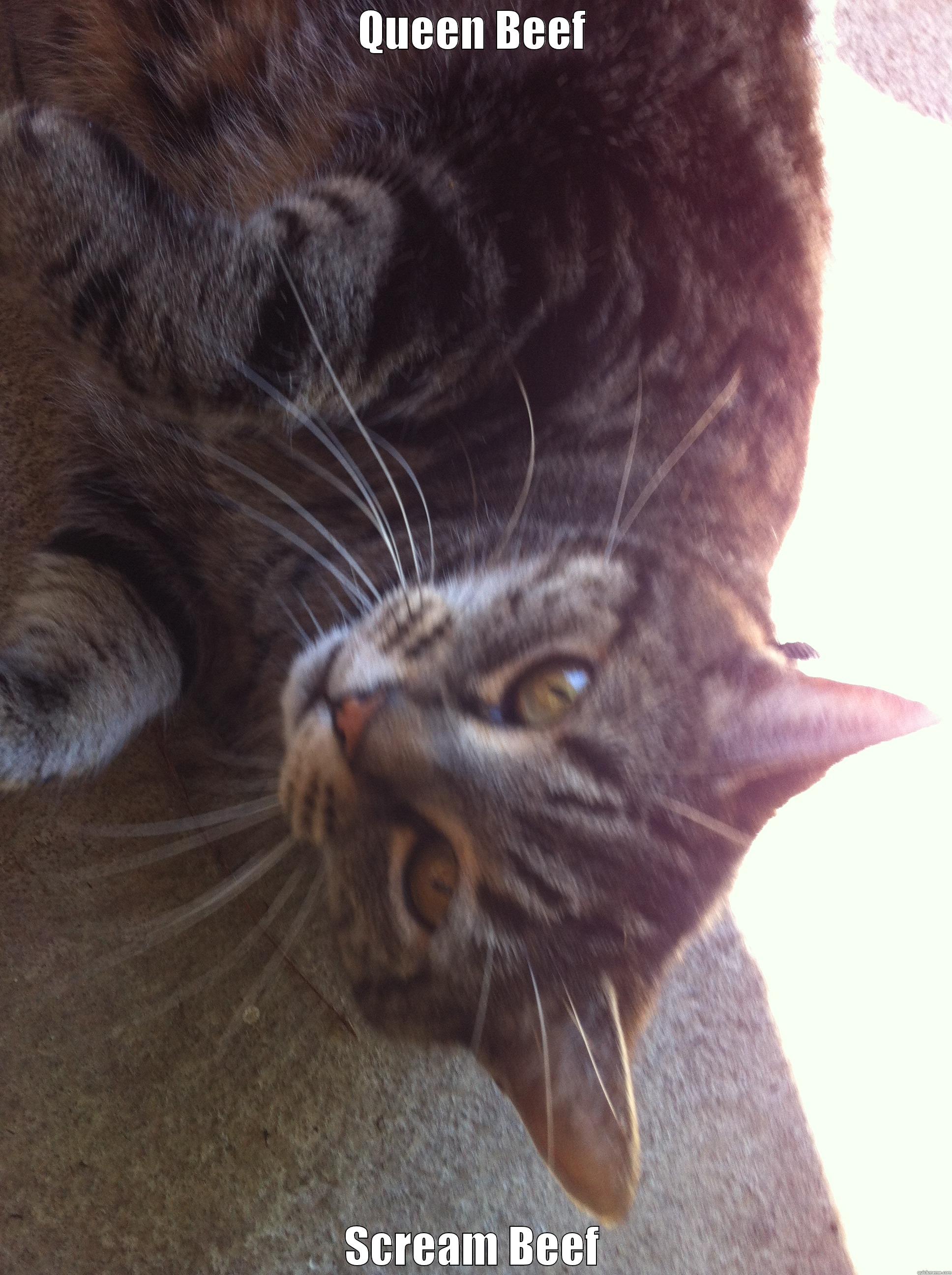 QUEEN BEEF SCREAM BEEF Misc