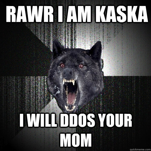 RAWR I AM KASKA i will ddos your mom  Insanity Wolf