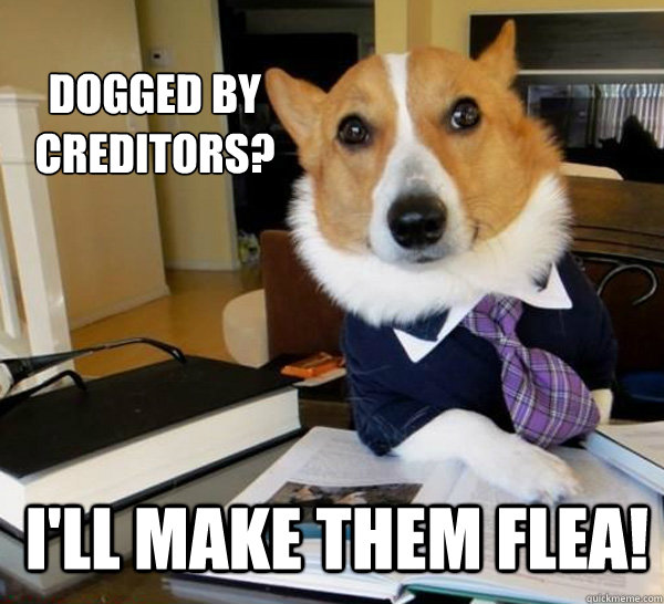 Dogged by creditors? I'll make them flea! - Dogged by creditors? I'll make them flea!  Lawyer Dog