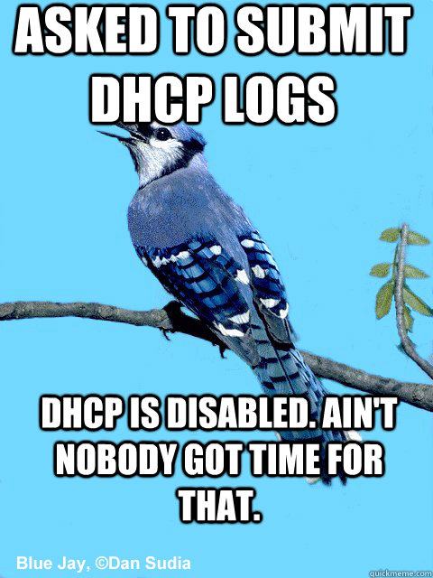 Asked to submit DHCP logs DHCP is disabled. Ain't nobody got time for that. - Asked to submit DHCP logs DHCP is disabled. Ain't nobody got time for that.  Blue Team Bird