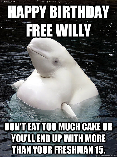Happy Birthday Free Willy Don't eat too much cake or you'll end up with more than your freshman 15. - Happy Birthday Free Willy Don't eat too much cake or you'll end up with more than your freshman 15.  Misc