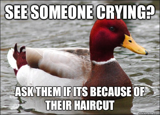 See someone crying? Ask them if its because of their haircut  Malicious Advice Mallard