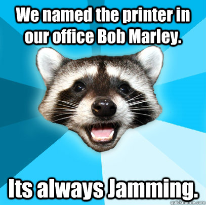 We named the printer in our office Bob Marley. Its always Jamming.  Lame Pun Coon