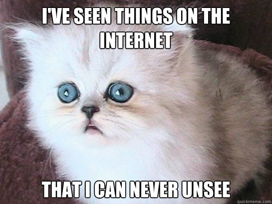 I've seen things on the Internet That I can never unsee  Trauma Cat