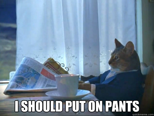  I should put on pants  The One Percent Cat