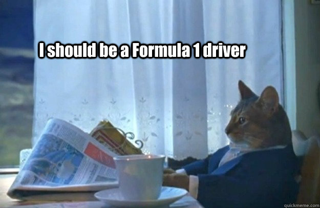 I should be a Formula 1 driver  Sophisticated Cat