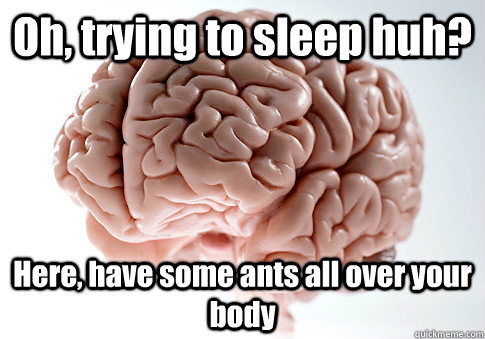 Oh, trying to sleep huh? Here, have some ants all over your body  Scumbag Brain