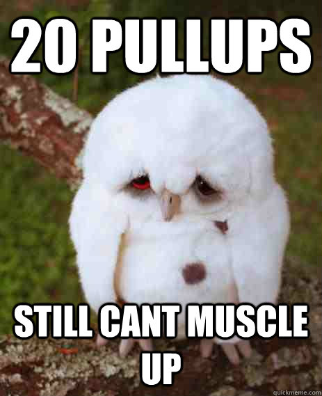 20 pullups still cant muscle up - 20 pullups still cant muscle up  Muscle up