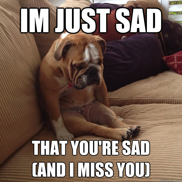 im just sad that you're sad
(and i miss you)  depressed dog