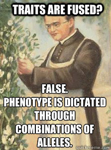 Traits are fused? False.
Phenotype is dictated through combinations of alleles. - Traits are fused? False.
Phenotype is dictated through combinations of alleles.  Gregor Mendel