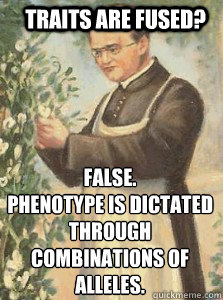 Traits are fused? False.
Phenotype is dictated through combinations of alleles.  Gregor Mendel