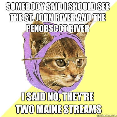 Somebody said I should see The St. John River and the Penobscot River  I said no, they're 
 two Maine streams - Somebody said I should see The St. John River and the Penobscot River  I said no, they're 
 two Maine streams  Hipster Kitty