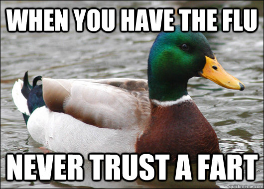 When you have the flu never trust a fart - When you have the flu never trust a fart  Actual Advice Mallard