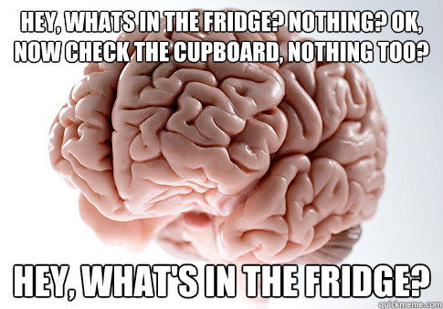hey, whats in the fridge? nothing? ok, now check the cupboard, nothing too? Hey, what's in the fridge?  Scumbag Brain